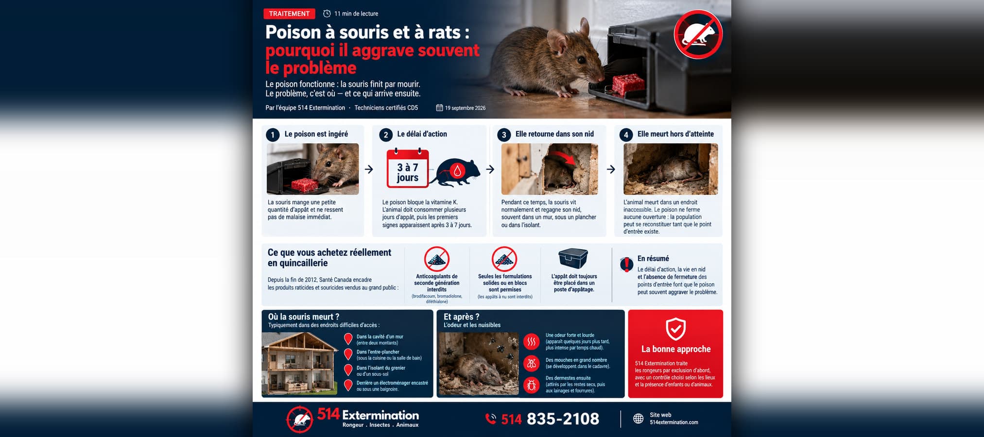 Mouse and Rat Poison: Why It Often Makes the Problem Worse